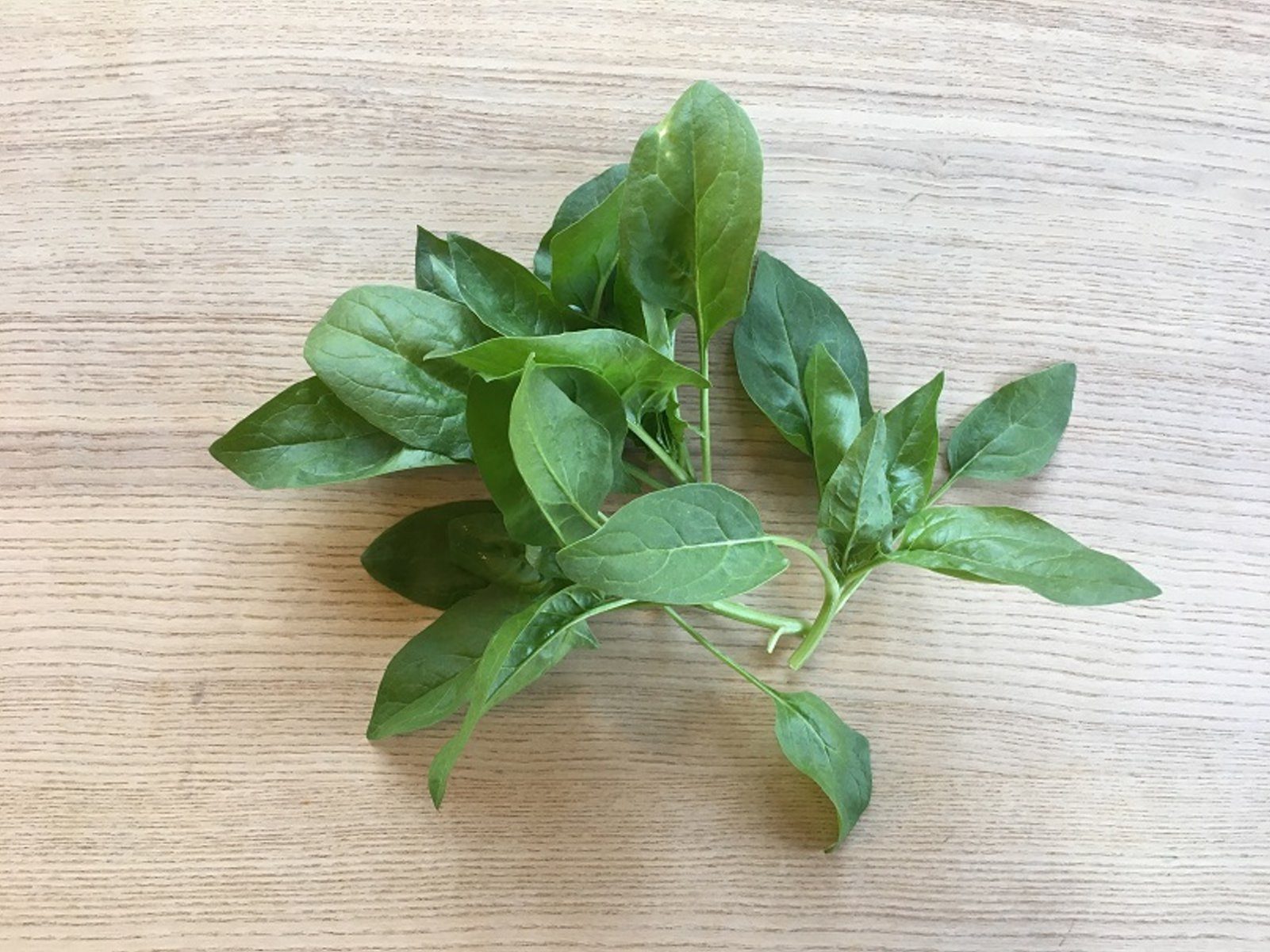 Spinat Babyleaf