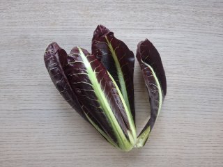Radicchio Treviso
