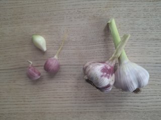 Knoblauch, frisch