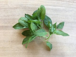 Spinat, kleine Portion