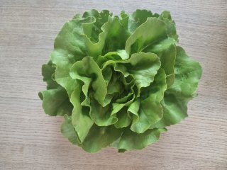 Kopfsalat, grün