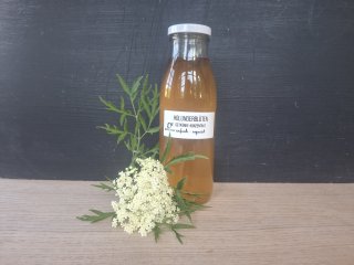 Holunderblüten-Konzentrat