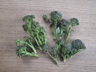 Broccoliröschen