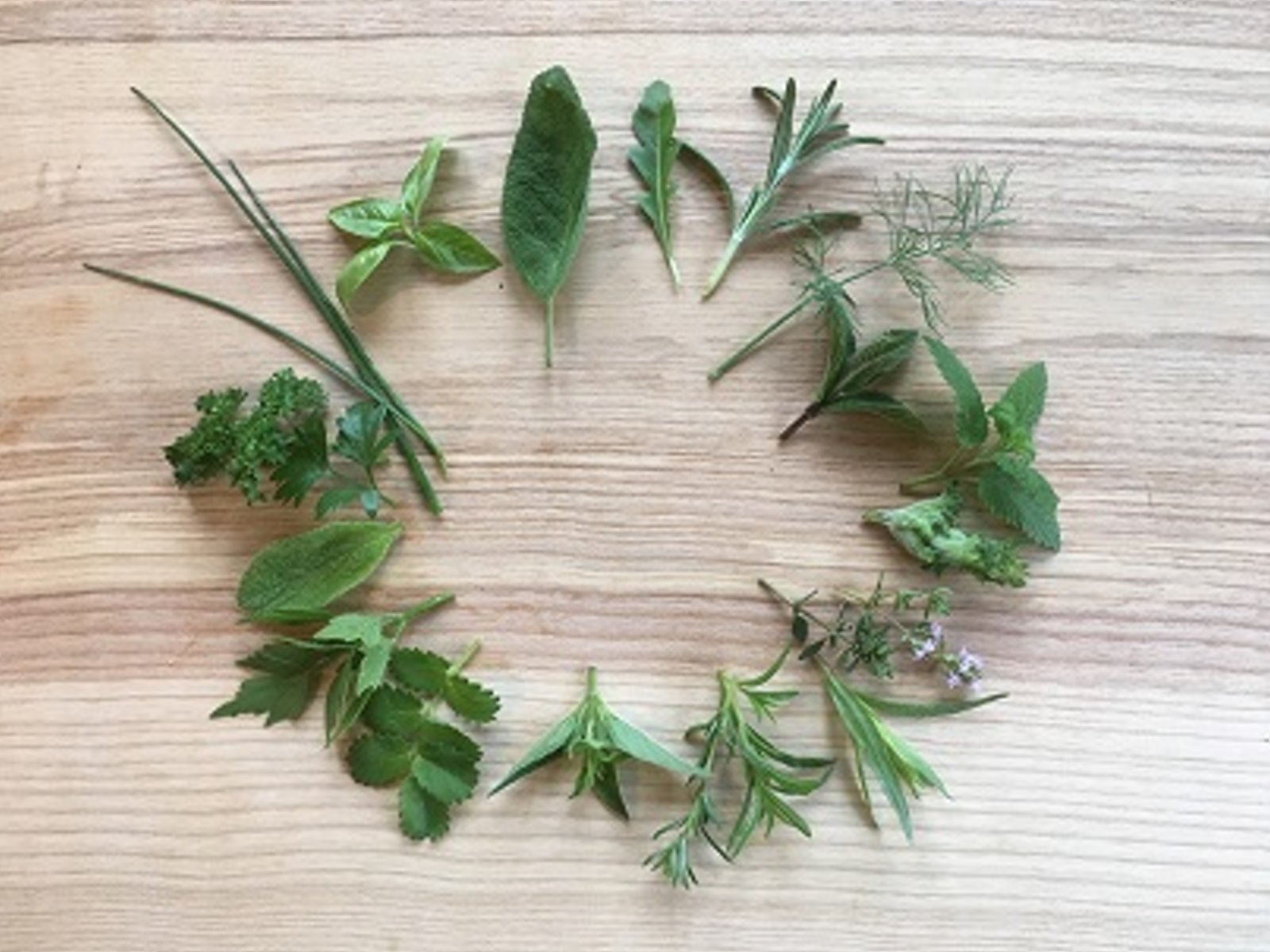 Dill