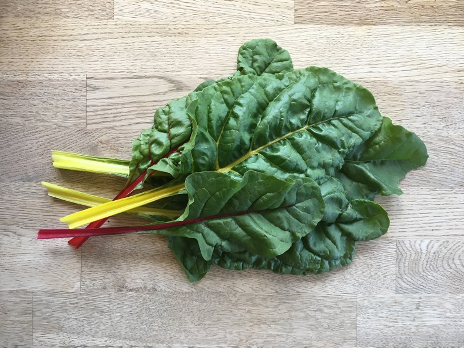 Krautstiel bunt