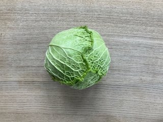 Mini-Wirz 